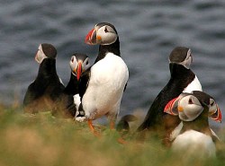 High Drummore Self Catering Cottages Scotland, Holiday Cottages in Scotland 